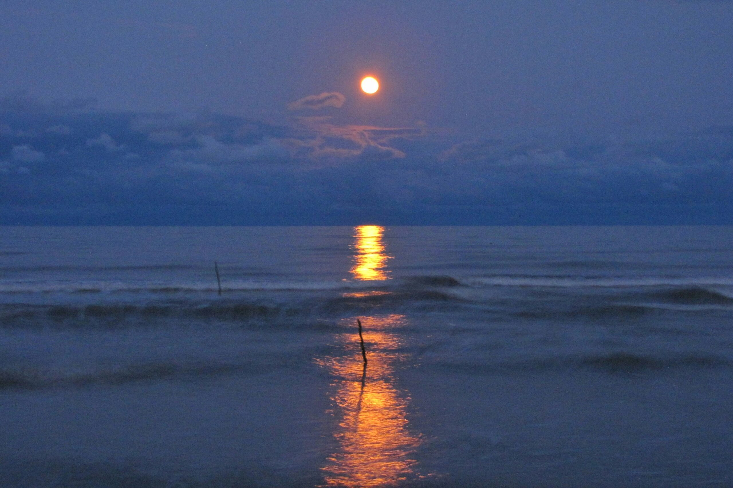 Blog 1 sasan golbostani 0bZRZoUhkT8 unsplash scaled e1759926099368